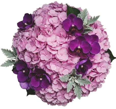Luxury Bouquet of Hydrangea and Phalaenopsis Orchids