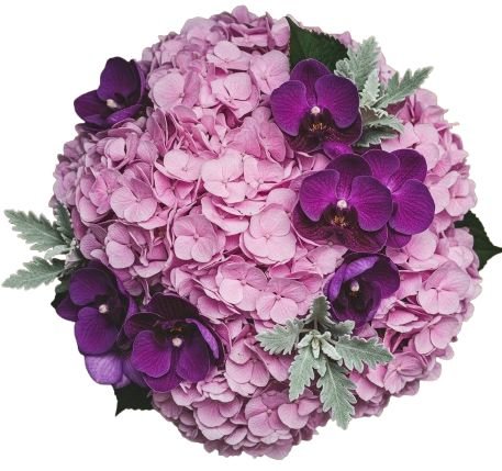 Luxury Bouquet of Hydrangea and Phalaenopsis Orchids - Flowers Box London