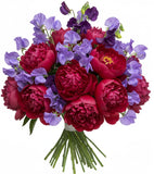 Luxury Bouquet of Peonies and Sweet Pea - Flowers Box London
