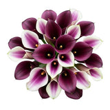 Luxury Bouquet of Purple and Two-Tone Picasso Calla Lily