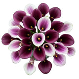 Luxury Bouquet of Purple and Two-Tone Picasso Calla Lily