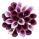 Luxury Bouquet of Purple and Two-Tone Picasso Calla Lily
