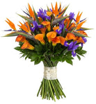 Luxury Bouquet of Strelitzia and Calla Lily with Blue Iris