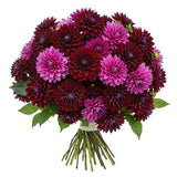 Luxury Burgundy and Cerise Dahlia Bouquet - Flowers Box London