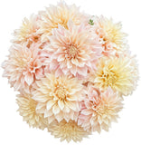 Luxury Cafe au Lait Dhalia Bouquet - Flowers Box London