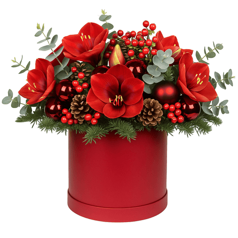 Luxury Christmas Box of Amaryllis in Red - Flowers Box London