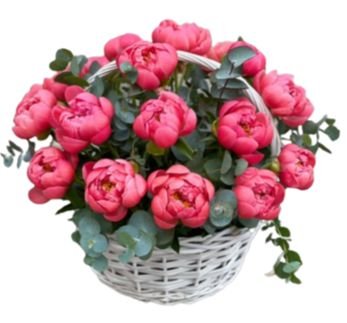 Luxury Coral Peonies with Eucalyptus Basket - Flowers Box London