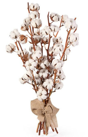 Luxury Cotton Stems – Natural & Timeless Arrangement - Flowers Box London