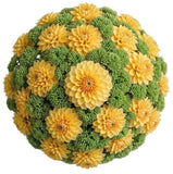Luxury Dahlia Bouquet with Sedum - Flowers Box London