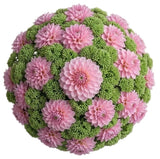 Luxury Dahlia Bouquet with Sedum - Flowers Box London