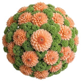 Luxury Dahlia Bouquet with Sedum - Flowers Box London