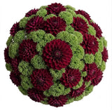 Luxury Dahlia Bouquet with Sedum - Flowers Box London