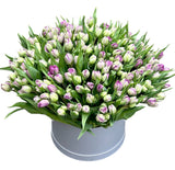 Luxury Double Tulips in a Box - Flowers Box London