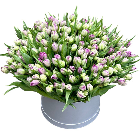 Luxury Double Tulips in a Box - Flowers Box London