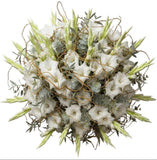 Luxury Gladiolus with Twisted Willow and Eucalyptus Bouquet - Flowers Box London