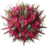 Luxury Gladiolus with Twisted Willow and Eucalyptus Bouquet - Flowers Box London