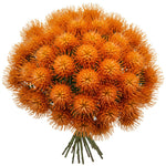 Luxury Leucospermum Exotic Bouquet