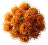 Luxury Leucospermum Exotic Bouquet