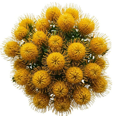 Luxury Leucospermum Exotic Bouquet