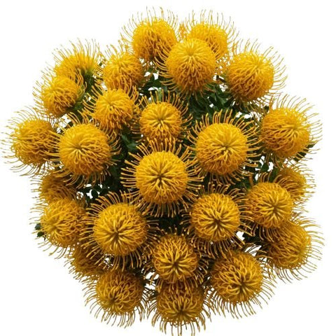 Luxury Leucospermum Exotic Bouquet - Flowers Box London