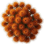 Luxury Leucospermum Exotic Bouquet