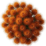 Luxury Leucospermum Exotic Bouquet