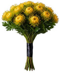 Luxury Leucospermum Exotic Bouquet