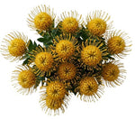 Luxury Leucospermum Exotic Bouquet