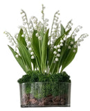 Luxury Lily of Valley Arrangement in Glass Cylinder Pot - Flowers Box London