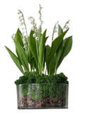 Luxury Lily of Valley Arrangement in Glass Cylinder Pot - Flowers Box London