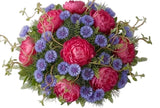Luxury Peonies Bouquet with Cornflowers and Willow Twist - Flowers Box London