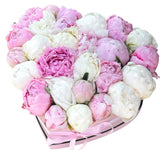 Luxury Peonies Box - Flowers Box London