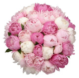 Luxury Peonies Trio Bouquet - Flowers Box London