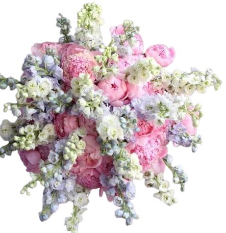 Luxury Peonies with Delphinium Bouquet