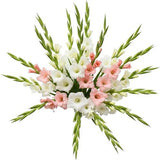Luxury Pink and White Gladioli Bouquet - Flowers Box London
