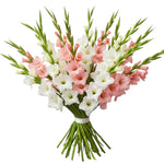 Luxury Pink and White Gladioli Bouquet