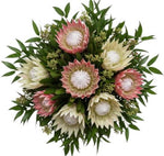 Luxury Pink and White Protea Bouquet