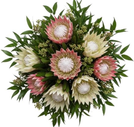 Luxury Pink and White Protea Bouquet
