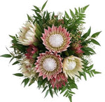 Luxury Pink and White Protea Bouquet - Flowers Box London