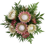 Luxury Pink and White Protea Bouquet