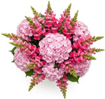Luxury Pink Hydrangea with Snapdragon Bouquet