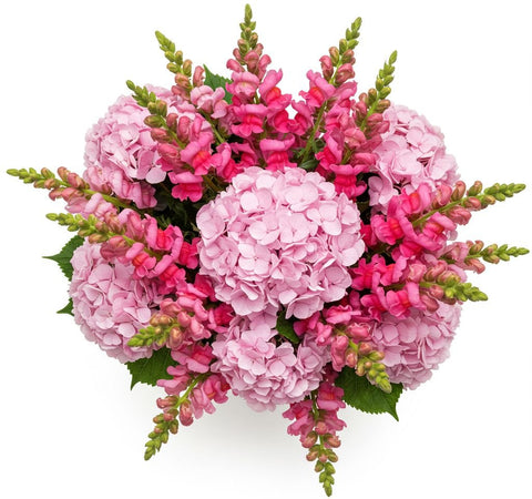Luxury Pink Hydrangea with Snapdragon Bouquet - Flowers Box London