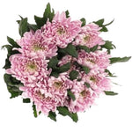 Luxury Pink Rossanno Chrysanthemum Bouquet - Flowers Box London