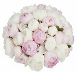 Luxury Pink & White Peonies Bouquet - Flowers Box London