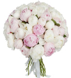 Luxury Pink & White Peonies Bouquet - Flowers Box London