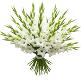 Luxury Pure White Gladiolus Bouquet - Flowers Box London