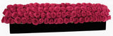 Luxury Roses Garland in Rectangular Box - Flowers Box London
