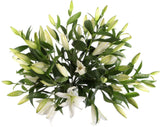 Luxury Royal White Lily Bouquet - Flowers Box London