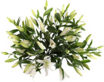 Luxury Royal White Lily Bouquet