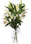 Luxury Royal White Lily Bouquet